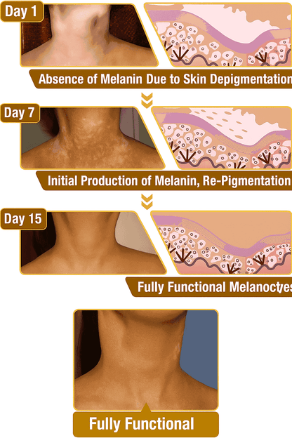 New Revitalizing Bee Venom Cream – Natural Skin Restoration & Vitality (Buy 1 Get 2 Free)